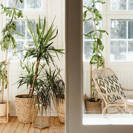 Boutique Klubiranta Halli